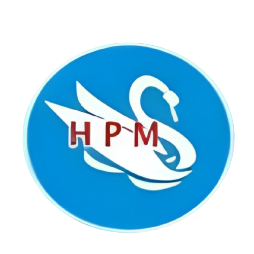 HANS PACKERS AND MOVERS PVT LTD